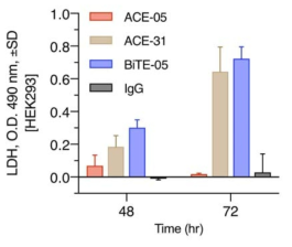 정상 HEK293 세포조건에서의 ACE-05의 세포독성 확인