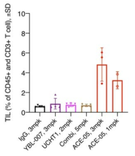 Karpas-299 모델에서 종양 내 lymphocyte (TIL) 분석