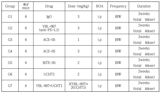 hCD3e TG mice 모델에서 ACE-05 항암효과 평가 시험디자인