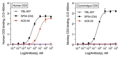 ACE-05 이중항체의 교차반응 확인 (cynomolgus monkey CD3)