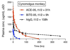 ACE-05의 영장류 (cynomolgus monkey)에서의 혈중 반감기