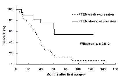 대장암 환자의 PTEN 발현에 따른 5년 간생존율 (BMC Gastroenterology 2008)