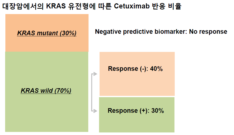 K-RAS 유전형에 따른 Erbitux 반응성 환자 비율 분석 (The Oncologist, 15, 157:2010)