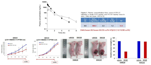 Hit #27의 PK profile 및 in vivo xenograft assay 결과