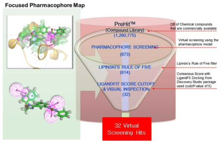 Virtual screening Hit 화합물