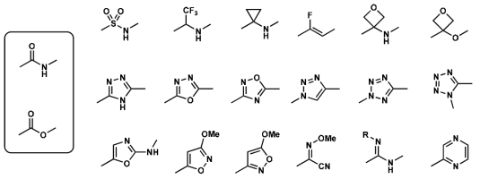 Synopsis of amide and ester isostere