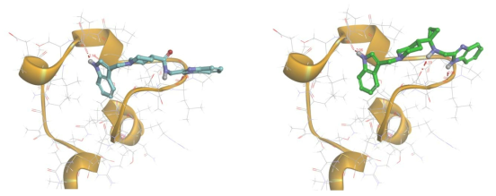 Trifluoro substituted in G7 compound