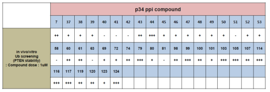 합성한 p34PPI 화합물에 대한 in vitro Ub assay 결과 요약