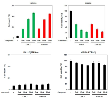 p34PPI 처리 후 세포 사멸 유도 여부 비교 분석 (위) & #103의 경우 SW620과 KM12C 세포주에서 재확인 결과 (아래)