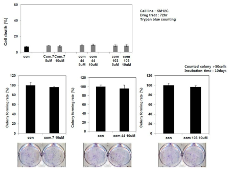 KM12C 세포주에 #103, #44화합물 처리 후 세포 사멸 유도 여부 및 colony forming 억제 효능 비교 분석