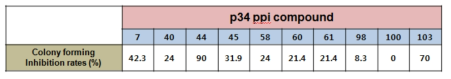 합성한 p34PPI 화합물에 대한 colonies 형성 억제 정도 비교 요약