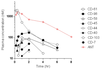 1차 cassette dosing PK 결과. CD-100 and 60 were not detected in the plasma. ANT: antipyrine