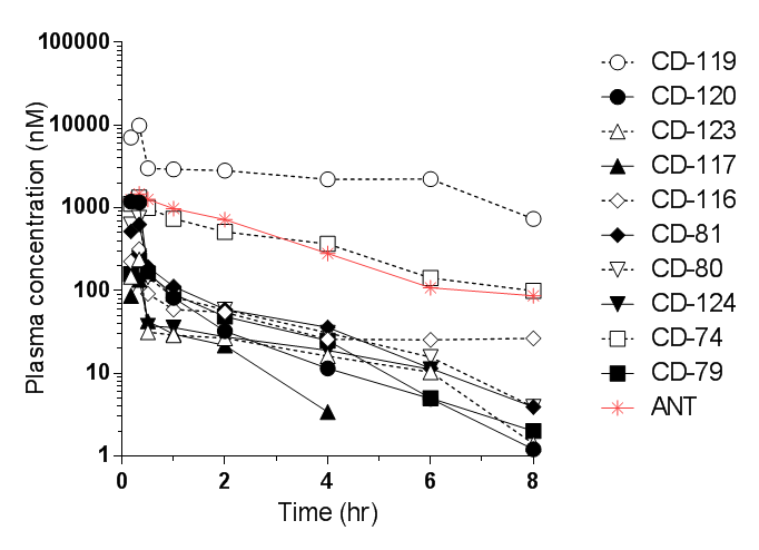 3차 cassette dosing PK 결과. Plasma concentration-time curves of CD-74, 79, 80, 81, 116, 117, 119, 120, 123 and 124 in mice following a single oral cassette dosing (5 mg/kg each, n=4). ANT: antipyrine