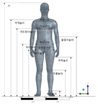 3D 인체 모델링 구축을 위한 치수정보