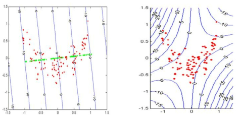 선형 주성분분석(좌)과 비선형 주성분분석(우)에 의해 산정한 등고선(contour) - 주성분방향(principal direction)은 등고선에 수직임