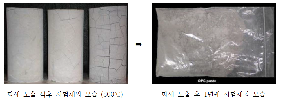 고온 노출 후 시간경과에 따른 경화시멘트의 외형변화