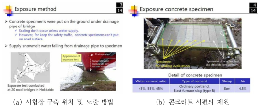 동결융해-염해 복합열화 실 교량 실증시험 연구