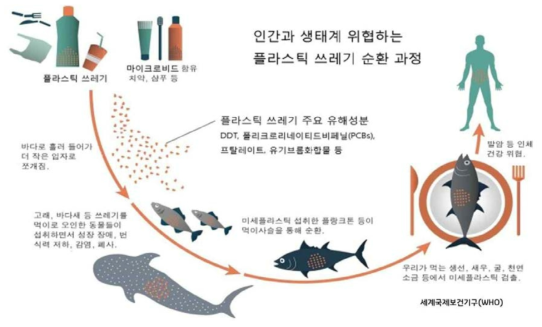 플라스틱쓰레기로 인한 미세플라스틱 문제(WHO 자료)