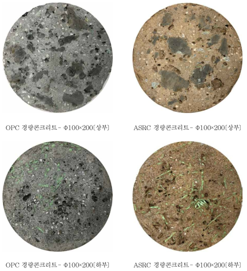 OPC와 ASRC를 사용한 원통형 시작품 단면 형상(폐노끈 첨가)