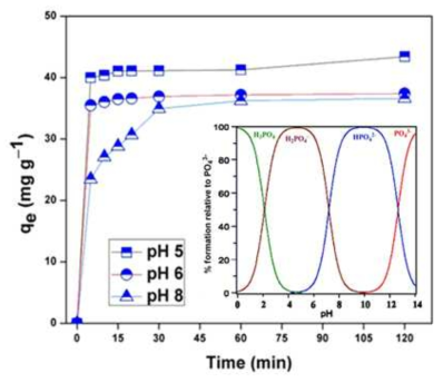 pH 변화에 따른 인산염의 흡착(Conditions: 293 K, [Phosphate] = 10mg/L, [Zn-Fe LDH]=0.5 g/L)