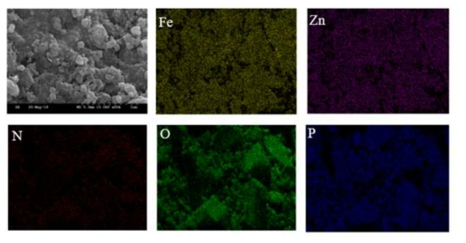 pH 5에서 FE-SEM image and mapping data of Zn-Fe LDH