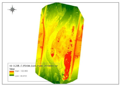 고평 구간 드론 기반 수치지표모형(DSM)(2018. 5.)