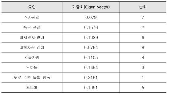 핸디캡 상황 세부 요인별 가중치 산출 결과