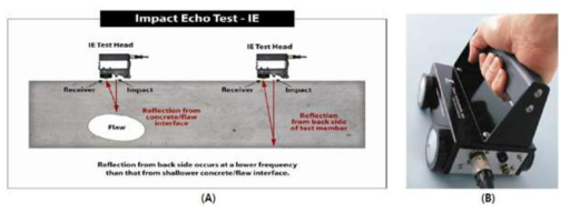 (A) IE 장비를 통해 측정하는 과정, (B) IE 장비