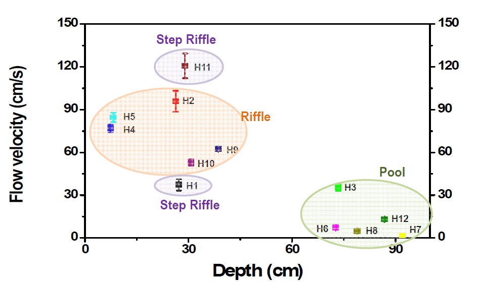 Flow velocity and depth according to habitat types