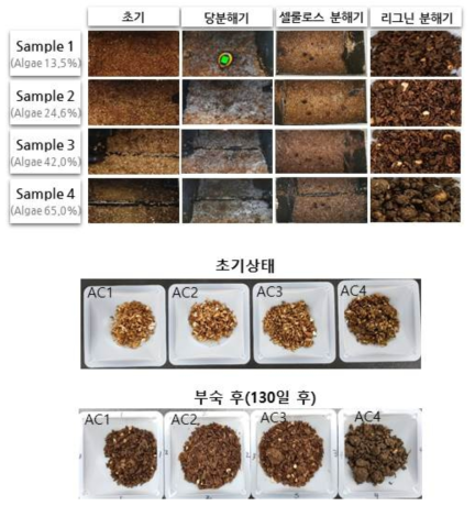 ASC의 부숙과정 및 초기/부숙완료 사진