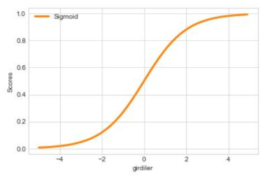 Sigmoid 함수의 그래프