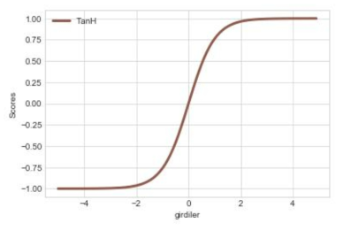 Hyperbolic Tangent Function의 그래프