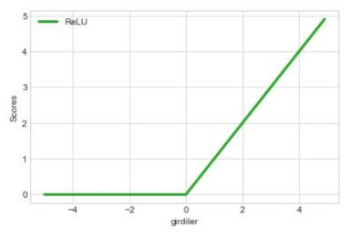 Rectified Linear Unit(ReLU)의 그래프
