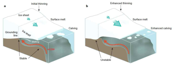 (a) 따뜻한 심층수가 빙붕 하부로 침투하여 지반선(grounding line) 후퇴를 유발, (b) 빙붕 두께를 얇게 하여 최종적으로 빙붕의 안정성을 약화시켜 빙붕 붕괴를 가속화 시킨다(Hanna et al., 2013)