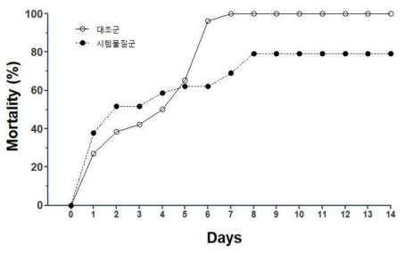 흰다리새우에 세균 V. alginolyticus 감염 시 시간경과 별 폐사율