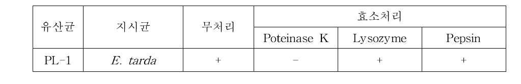 효소 처리 시 유산균 배양물의 항균활성