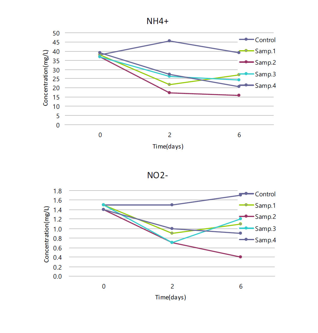 수질개선 시료 투여가 수중 내 암모니아(NH4) 및 아질산(NO2)에 미치는 영향