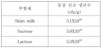 유산균 동결 건조 균수 분석