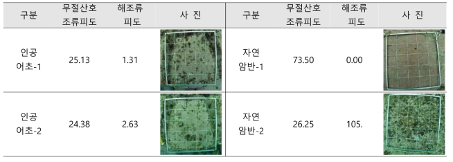 말잘피 종묘판 시설 지역 갯녹음 정도