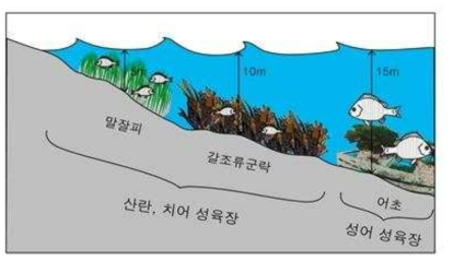 말잘피 군락지의 생태적 지위