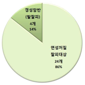 기질별 잘피장 조성관련 국내 등록 특허 분석 결과