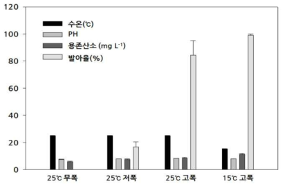 말잘피 화지 최적 숙성환경