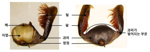 게바다말의 외부모습