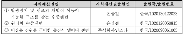 국내외 관련지식재산권 현황