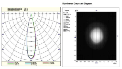 Wide(Zoom Out) 상태 배광 및 광도 측정 결과