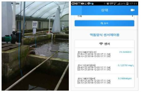 역돔 양식장 설치 센서 및 모니터링 화면