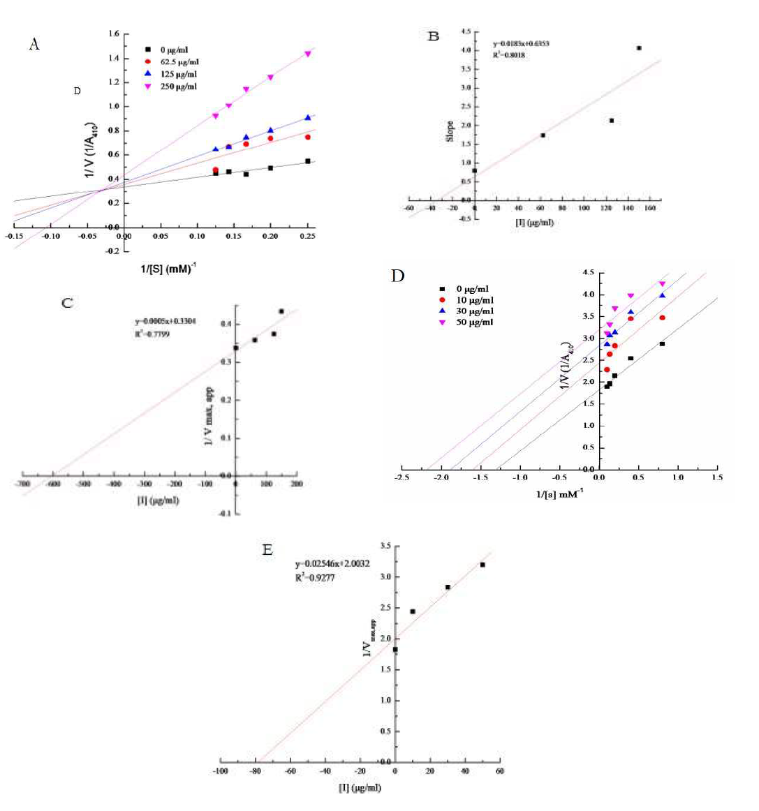 Lineweaver-Burk plotw of (A) vanadium-binding protein against S. cerevisiae a-glucosidase at different concentrations of ρNPG, and replot of the slope (B) and 1/Vmax, app (C) from the Lineweaver-Burk versus inhibitor concentration; (D) vanadium-binding protein against rat intestinal maltase and replot of the 1/Vmax, app (E) from the Lineweaver-Burk versus inhibitor concentration
