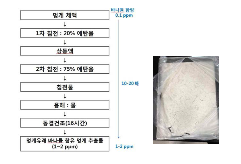 멍게추출물 정제공정 및 시제품