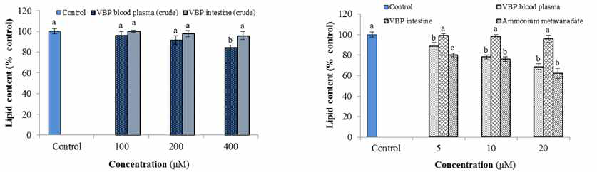 Effects of the crude (a) and the purified (b) vanadium binding proteins on the lipid accumulation in 3T3-L1 adipocytes on day 06