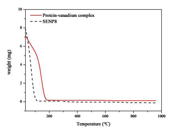 TGA curve of protein-vanadium complex and free SENP8